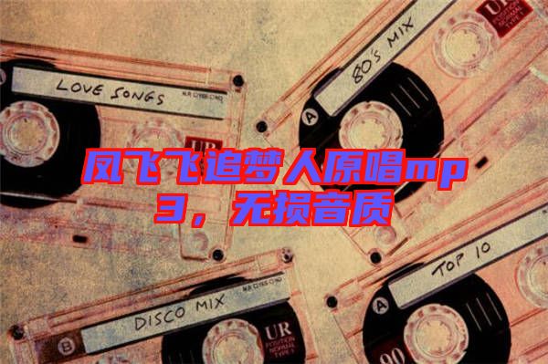 鳳飛飛追夢人原唱mp3，無損音質(zhì)