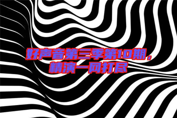 好聲音第三季第10期，精演一網(wǎng)打盡