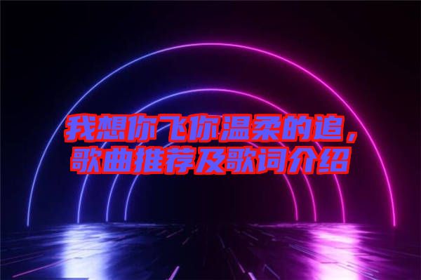 我想你飛你溫柔的追，歌曲推薦及歌詞介紹