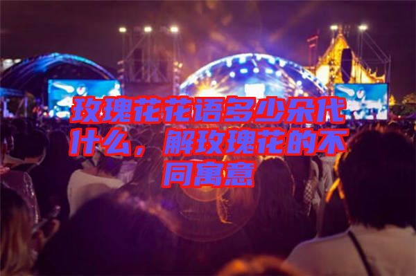 玫瑰花花語多少朵代什么，解玫瑰花的不同寓意