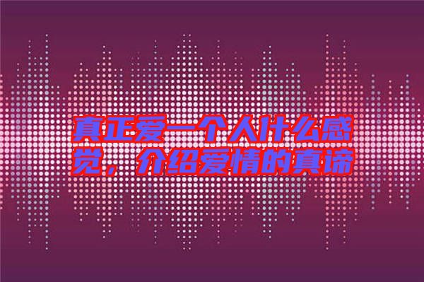 真正愛(ài)一個(gè)人什么感覺(jué)，介紹愛(ài)情的真諦