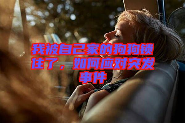 我被自己家的狗狗鎖住了，如何應(yīng)對(duì)突發(fā)事件