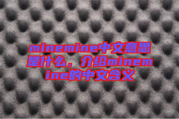 minemine中文意思是什么，介紹minemine的中文含義