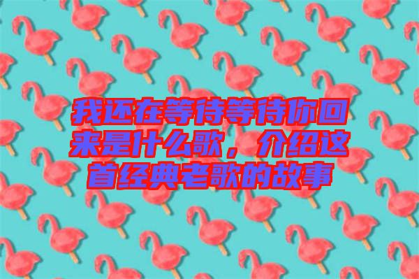 我還在等待等待你回來是什么歌，介紹這首經(jīng)典老歌的故事