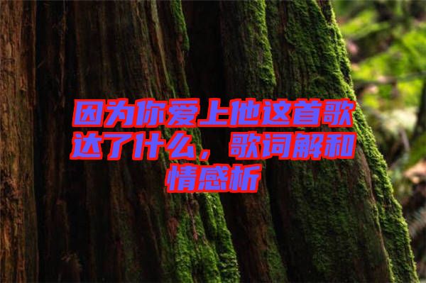 因為你愛上他這首歌達(dá)了什么，歌詞解和情感析