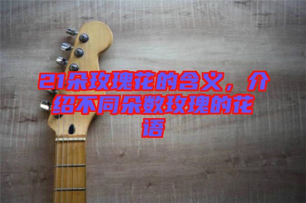 21朵玫瑰花的含義，介紹不同朵數(shù)玫瑰的花語