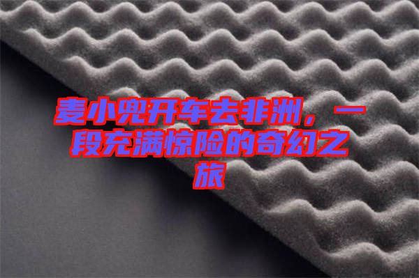 麥小兜開車去非洲，一段充滿驚險(xiǎn)的奇幻之旅