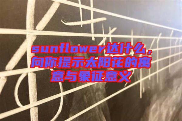 sunflower達(dá)什么，向你提示太陽花的寓意與象征意義