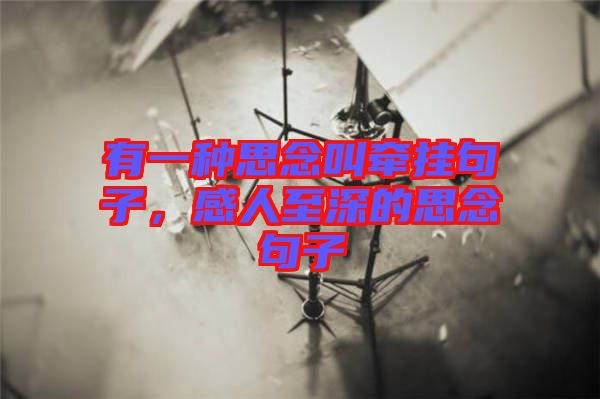 有一種思念叫牽掛句子，感人至深的思念句子