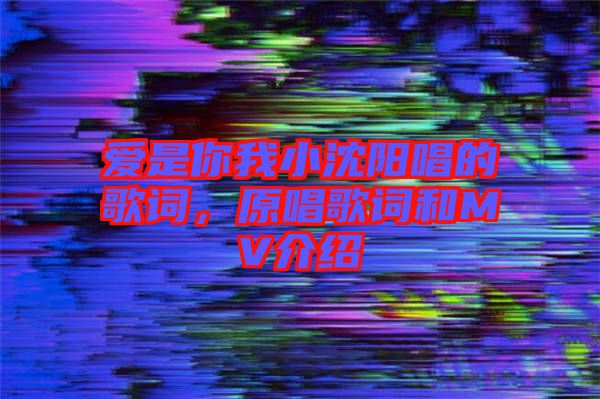 愛是你我小沈陽唱的歌詞，原唱歌詞和MV介紹