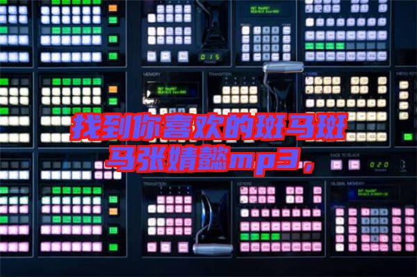 找到你喜歡的斑馬斑馬張婧懿mp3，