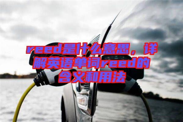 reed是什么意思，詳解英語單詞reed的含義和用法