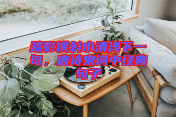 疏影橫斜水清淺下一句，唐詩宋詞中經(jīng)典句子