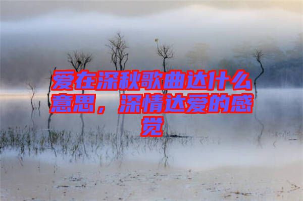 愛(ài)在深秋歌曲達(dá)什么意思，深情達(dá)愛(ài)的感覺(jué)