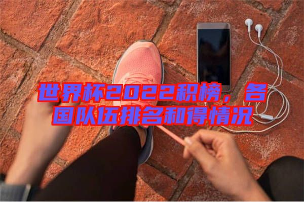 世界杯2022積榜，各國隊伍排名和得情況
