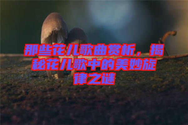 那些花兒歌曲賞析，揭秘花兒歌中的美妙旋律之謎