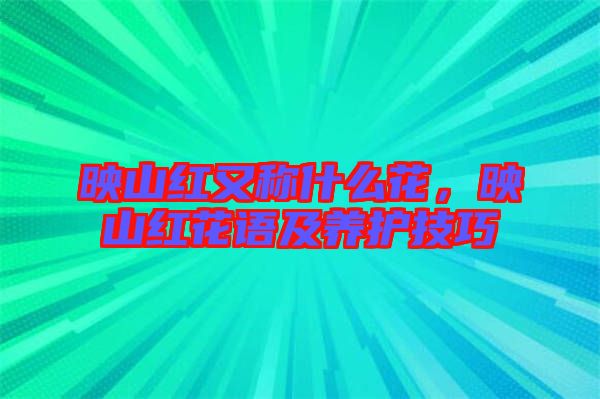 映山紅又稱什么花，映山紅花語及養(yǎng)護技巧