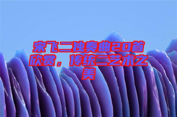 宋飛二獨(dú)奏曲20首欣賞，傳統(tǒng)二藝術(shù)之美