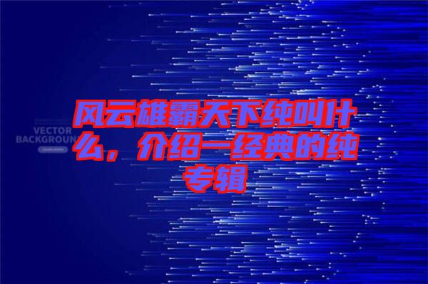 風云雄霸天下純叫什么，介紹一經典的純專輯