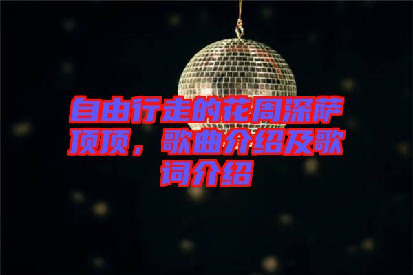 自由行走的花周深薩頂頂，歌曲介紹及歌詞介紹