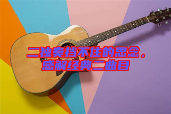 二獨奏擋不住的思念，感解經(jīng)典二曲目