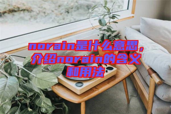 norain是什么意思，介紹norain的含義和用法
