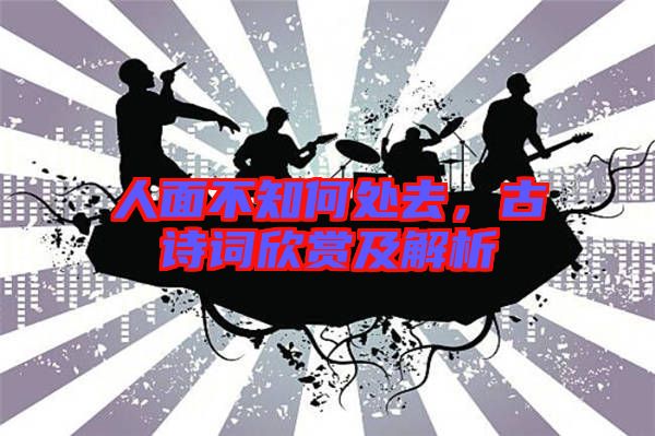 人面不知何處去，古詩(shī)詞欣賞及解析