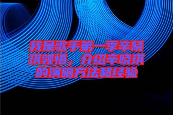 我是歌手第一季辛?xí)早黝I(lǐng)悟，介紹辛?xí)早鞯难莩椒ê徒?jīng)驗(yàn)