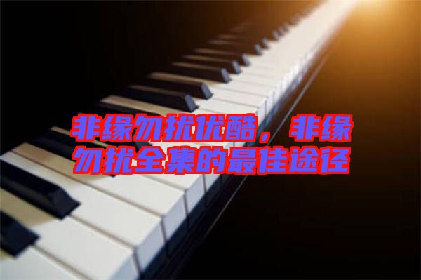 非緣勿擾優(yōu)酷，非緣勿擾全集的最佳途徑