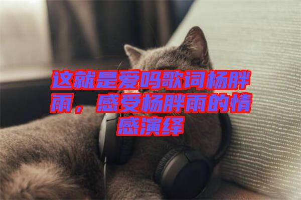 這就是愛嗎歌詞楊胖雨，感受楊胖雨的情感演繹