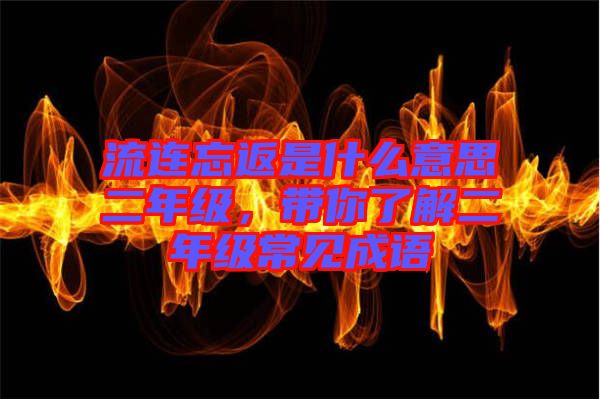 流連忘返是什么意思二年級，帶你了解二年級常見成語