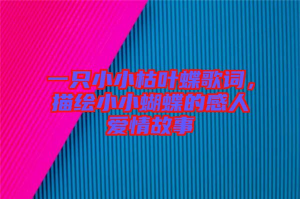 一只小小枯葉蝶歌詞，描繪小小蝴蝶的感人愛情故事