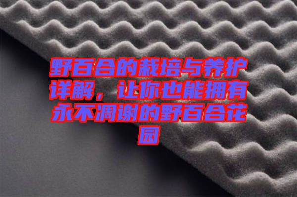 野百合的栽培與養(yǎng)護(hù)詳解，讓你也能擁有永不凋謝的野百合花園