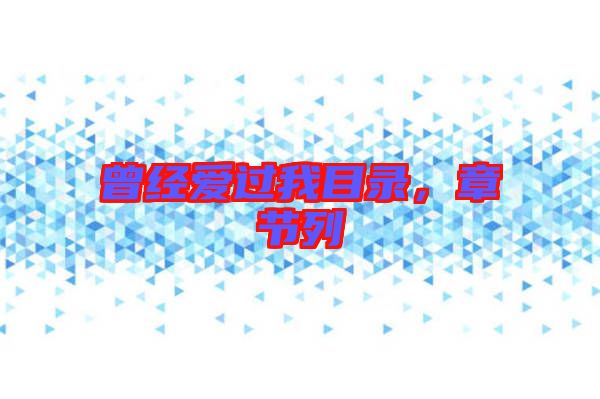 曾經(jīng)愛過我目錄，章節(jié)列