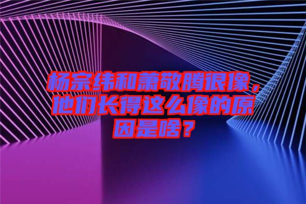楊宗緯和蕭敬騰很像，他們長(zhǎng)得這么像的原因是啥？