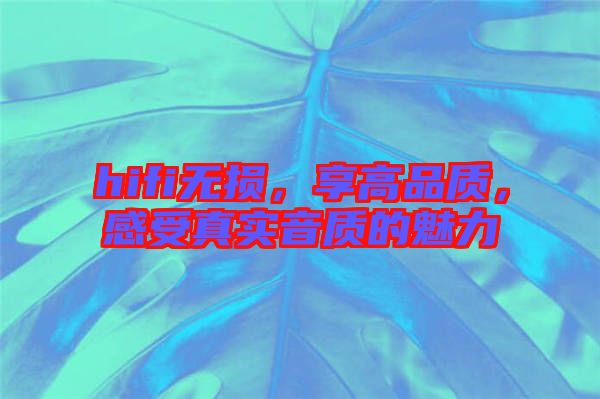 hifi無損，享高品質，感受真實音質的魅力