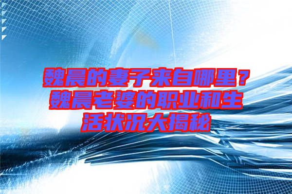魏晨的妻子來自哪里？魏晨老婆的職業(yè)和生活狀況大揭秘