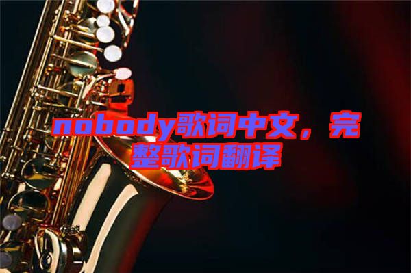 nobody歌詞中文，完整歌詞翻譯