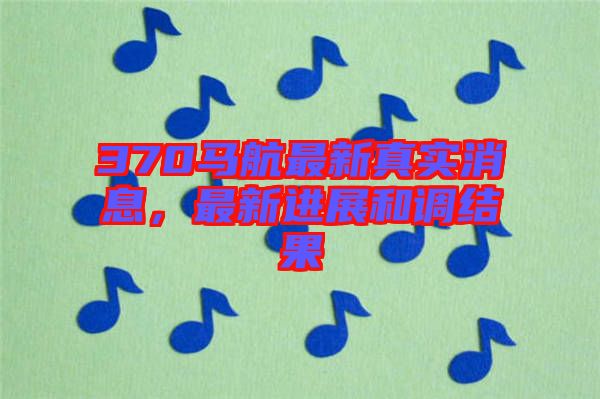 370馬航最新真實消息，最新進(jìn)展和調(diào)結(jié)果