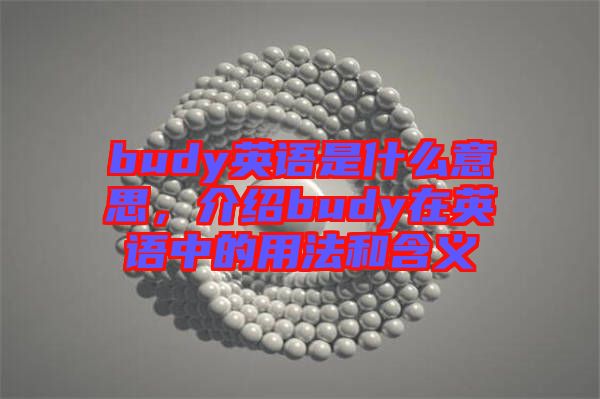budy英語是什么意思，介紹budy在英語中的用法和含義
