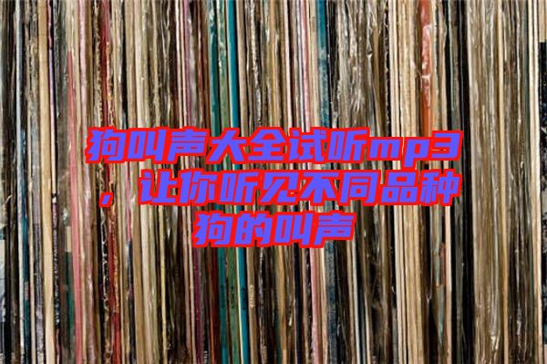 狗叫聲大全試聽(tīng)mp3，讓你聽(tīng)見(jiàn)不同品種狗的叫聲