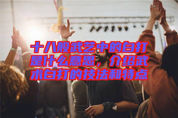 十八般武藝中的白打是什么意思，介紹武術(shù)白打的技法和特點
