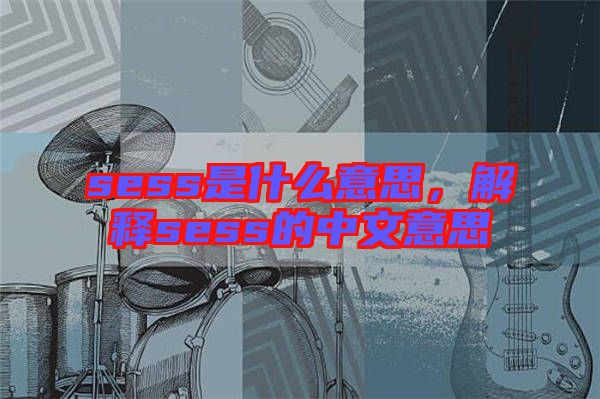 sess是什么意思，解釋sess的中文意思
