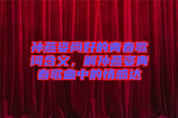 孫燕姿尚好的青春歌詞含義，解孫燕姿青春歌曲中的情感達(dá)