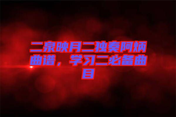 二泉映月二獨奏阿炳曲譜，學習二必備曲目