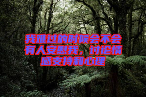 我難過的時(shí)候會(huì)不會(huì)有人安慰我，討論情感支持和心理