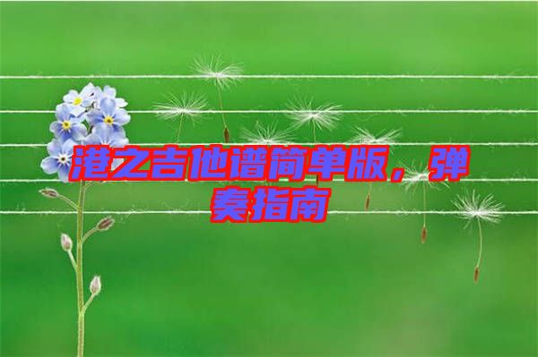 港之吉他譜簡(jiǎn)單版，彈奏指南