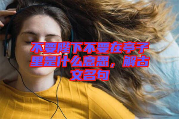 不要陛下不要在亭子里是什么意思，解古文名句