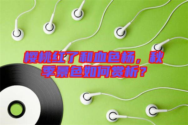 櫻桃紅了和血色楊，秋季景色如何賞析？