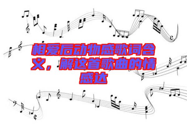 相愛(ài)后動(dòng)物感歌詞含義，解這首歌曲的情感達(dá)